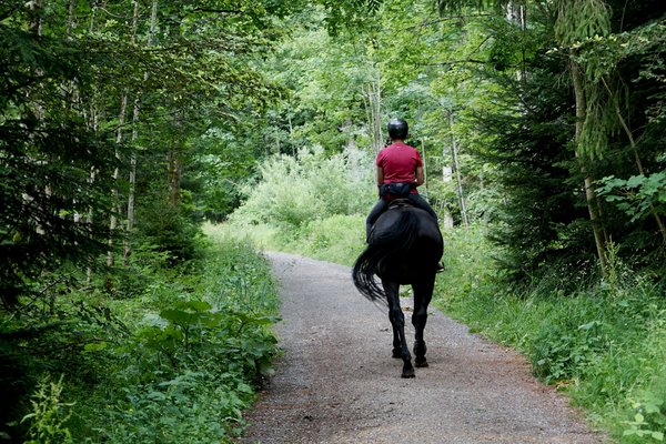 Où loger en Bretagne pour des vacances avec des balades à cheval et des ateliers de cuisine traditionnelle ?